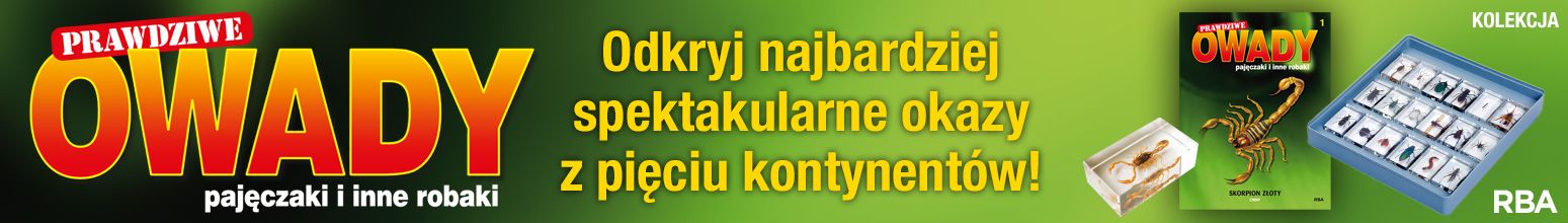 Owady, pajęczaki i inne robaki