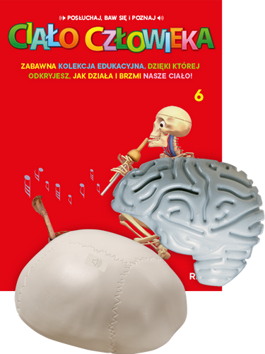 Przesyłka cz. 6 i 7. Prenumerata "Ciało Człowieka", od tomu 6 - Premium