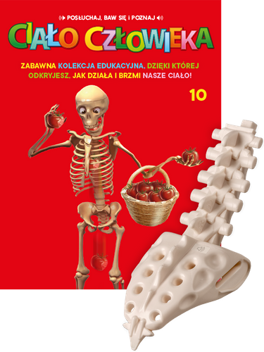 "Ciało Człowieka" - Tom 10