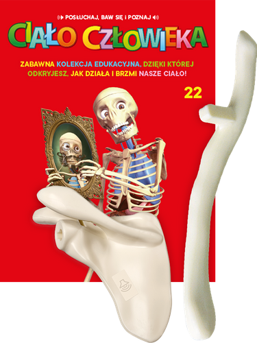 "Ciało Człowieka" - Tom 22