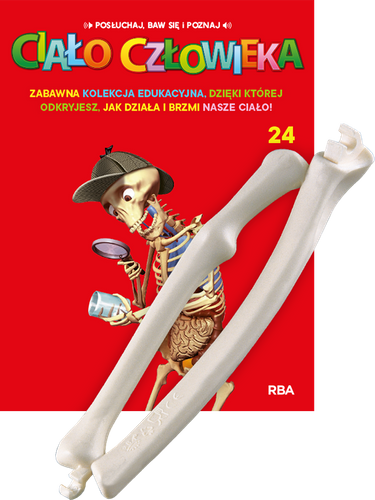 "Ciało Człowieka" - Tom 24