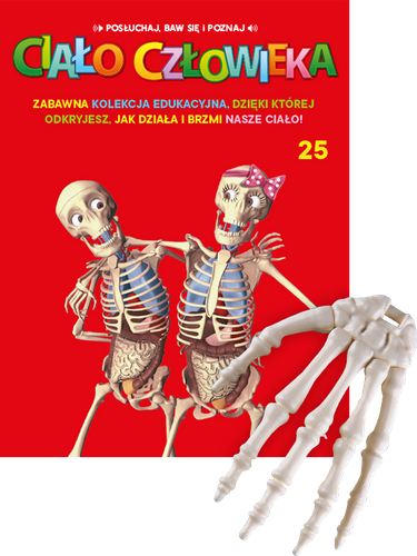"Ciało Człowieka" - Tom 25