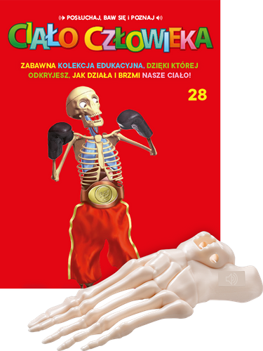 "Ciało Człowieka" - Tom 28