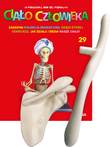 "Ciało Człowieka" - Tom 29