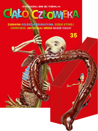 "Ciało Człowieka" - Tom 35