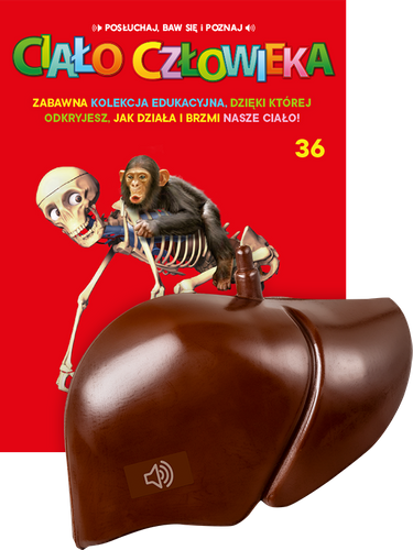 "Ciało Człowieka" - Tom 36