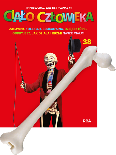"Ciało Człowieka" - Tom 38