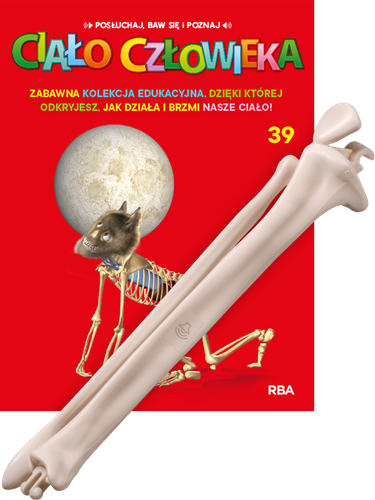 "Ciało Człowieka" - Tom 39