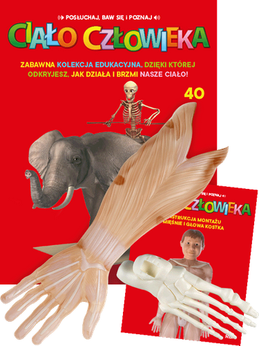 "Ciało Człowieka" - Tom 40