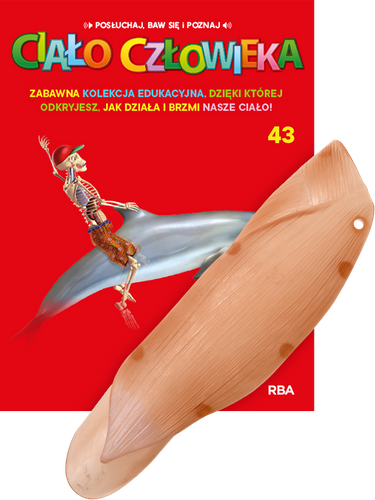 "Ciało Człowieka" - Tom 43
