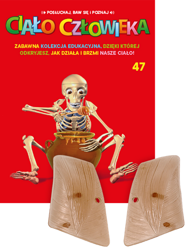 "Ciało Człowieka" - Tom 47