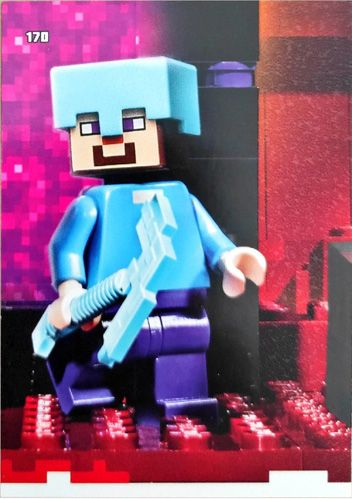 LEGO® Minecraft™ - Nr170: Puzzle