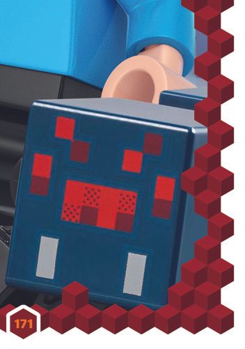 LEGO® Minecraft™ TCC3 - Nr  171: Puzzle