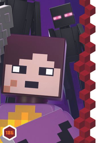 LEGO® Minecraft™ TCC3 - Nr  186: Puzzle