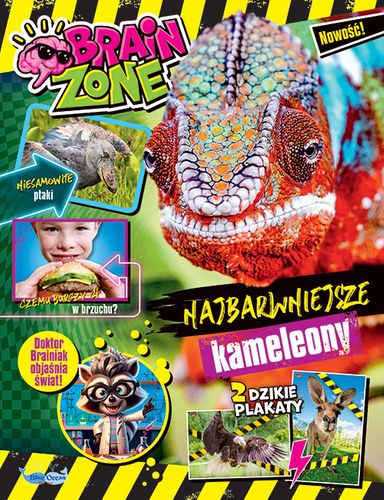 BrainZone 2/2026