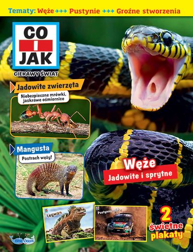 Co I Jak. Ciekawy Świat 1/2025