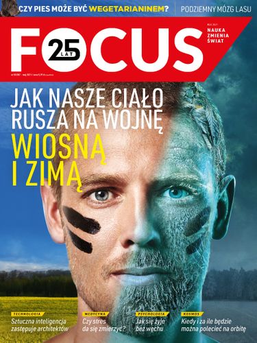 Focus 5/2021