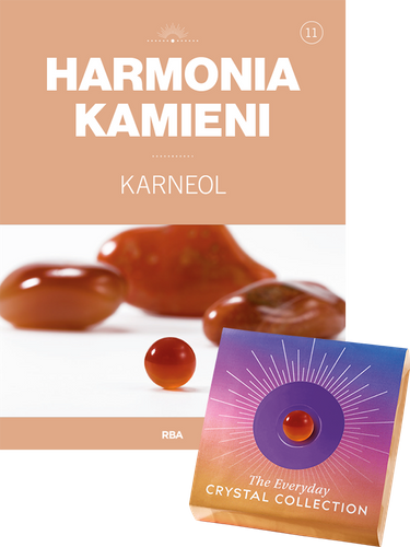 Harmonia Kamieni - Tom 11