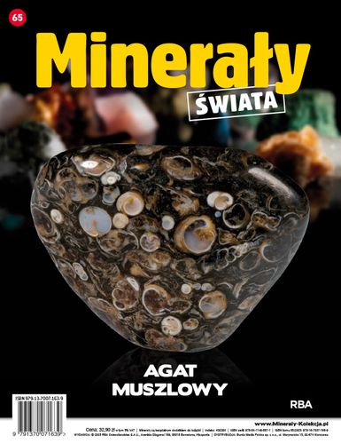 MINERAŁY ŚWIATA - Tom LXV
