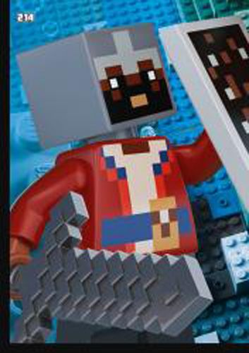 LEGO® Minecraft™ TCC2 - Nr 214: Puzzle