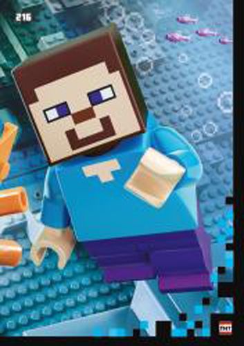 LEGO® Minecraft™ TCC2 - Nr 216: Puzzle