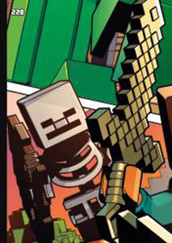 LEGO® Minecraft™ TCC2 - Nr 220: Puzzle