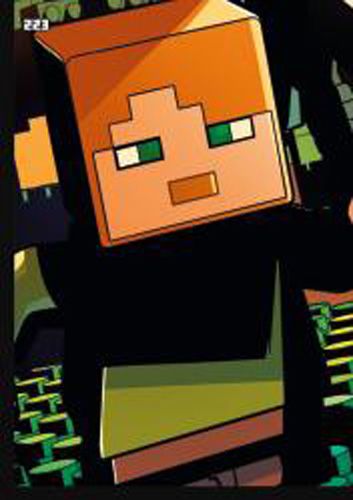 LEGO® Minecraft™ TCC2 - Nr 223: Puzzle