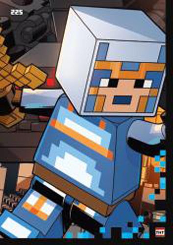 LEGO® Minecraft™ TCC2 - Nr 225: Puzzle