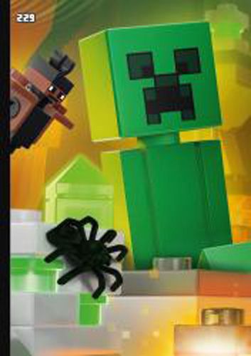 LEGO® Minecraft™ TCC2 - Nr 229: Puzzle