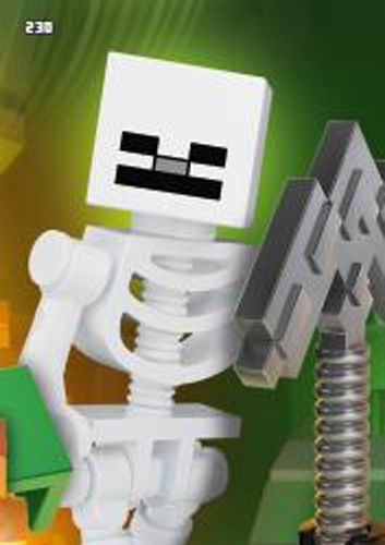 LEGO® Minecraft™ TCC2 - Nr 230: Puzzle