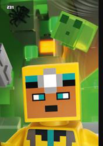 LEGO® Minecraft™ TCC2 - Nr 231: Puzzle