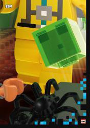 LEGO® Minecraft™ TCC2 - Nr 234: Puzzle