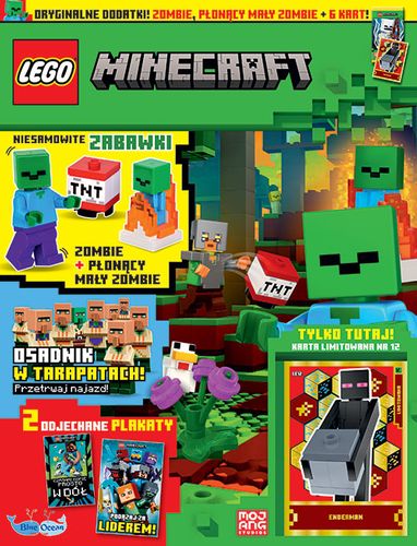 LEGO® Minecraft 4/2024