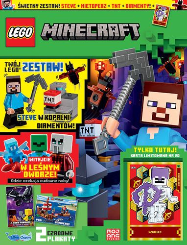 LEGO® Minecraft 11/2024