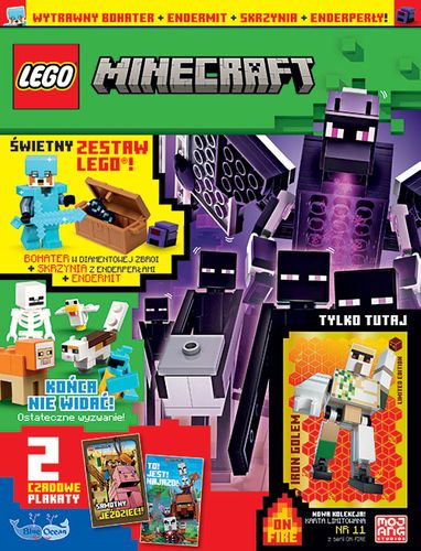 LEGO® Minecraft 11/2026