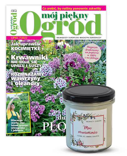 Roczna prenumerata Mojego Pięknego Ogrodu z ekologiczną świecą zapachową „Moc Orzeźwienia” od firmy W.Legutko w PREZENCIE 