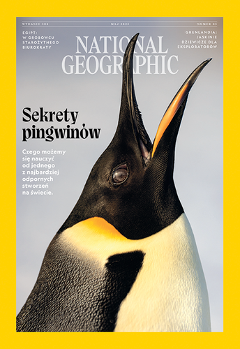 Trzyletnia prenumerata National Geographic
