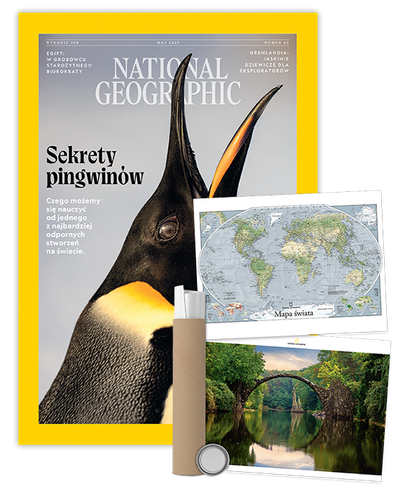 Roczna prenumerata National Geographic z plakatem dwustronnym NG