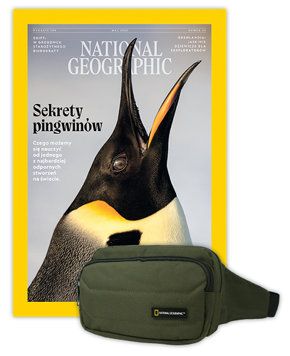 Roczna prenumerata National Geographic z torbą biodrową NG PRO 718 KHAKI