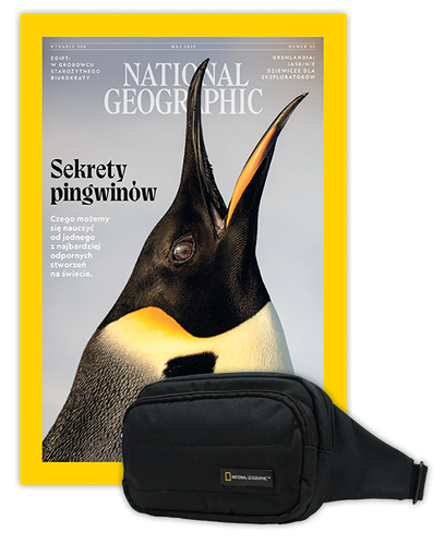 Roczna prenumerata National Geographic z torbą biodrową NG PRO 718 CZARNA