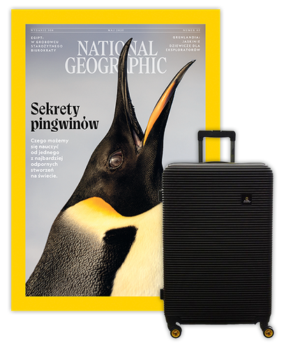 Roczna prenumerata National Geographic z Walizką National Geographic Abroad - Średnia/Czarna
