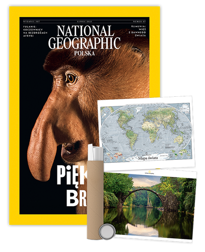Roczna prenumerata National Geographic z plakatem dwustronnym NG