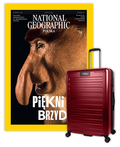 Roczna prenumerata National Geographic z dużą walizką NG Cruise burgund