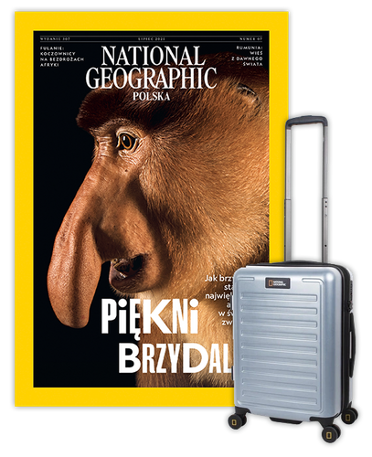 Roczna prenumerata National Geographic z walizką kabinową NG Cruise srebrna