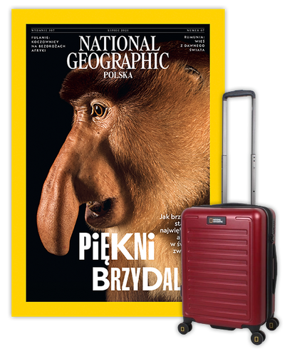 Roczna prenumerata National Geographic z walizką kabinową NG Cruise burgund