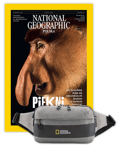 Roczna prenumerata National Geographic z torbą biodrową-nerką NG 21103 szara