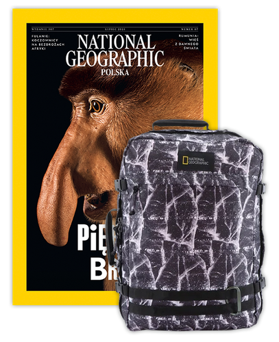 Roczna prenumerata National Geographic z plecakiem/torbą podręczną NG HYBRID 11801 CRACKED PRINT