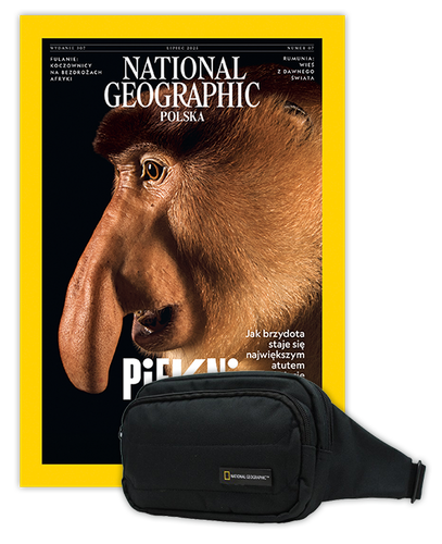 Roczna prenumerata National Geographic z torbą biodrową NG PRO 718 CZARNA