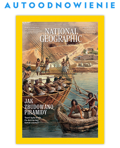 Autoodnawialna kwartalna prenumerata NG