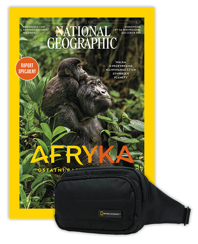 Roczna prenumerata National Geographic z torbą biodrową NG PRO 718 CZARNA